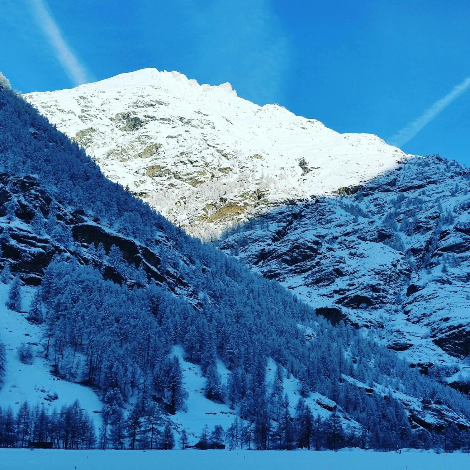 Monte Rosa Taesch, Apartments Mit Wellness Bereich מראה חיצוני תמונה